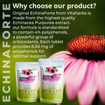 EchinaForte | Echinacea 2000mg Extract