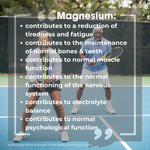 MagneMax | Magnesium Citrate 1480mg