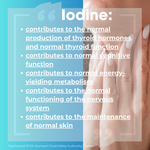 Thyroid Support+ | Iodine+Sea Kelp