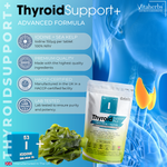 Thyroid Support+ | Iodine+Sea Kelp