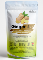 Gingerol-5 | Ginger Root Extract 1000mg