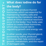 Thyroid Support+ | Iodine+Sea Kelp