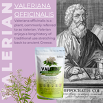 Valerin | Valerian Root 200mg Extract