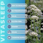 Vitasleep | Valerian Root 2000mg Extract