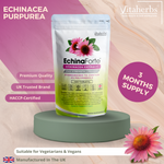 EchinaForte | Echinacea Extract 2000mg Tablets