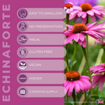 EchinaForte | Echinacea Extract 2000mg Tablets