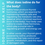 Iodine + Sea Kelp